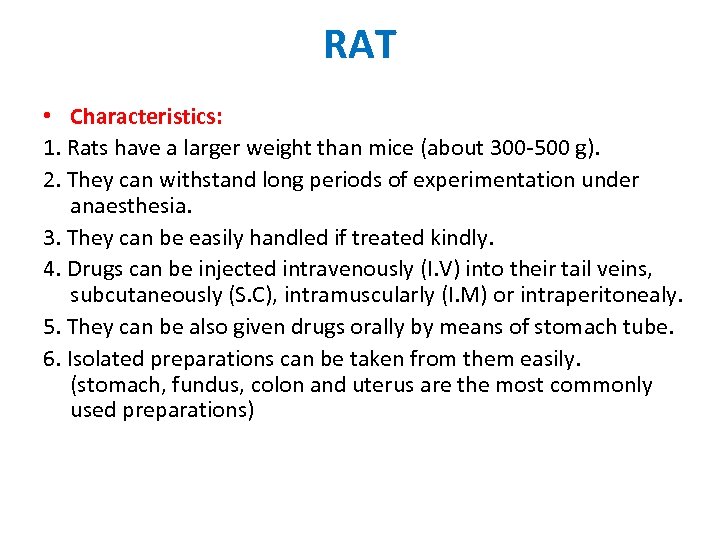 RAT • Characteristics: 1. Rats have a larger weight than mice (about 300 -500