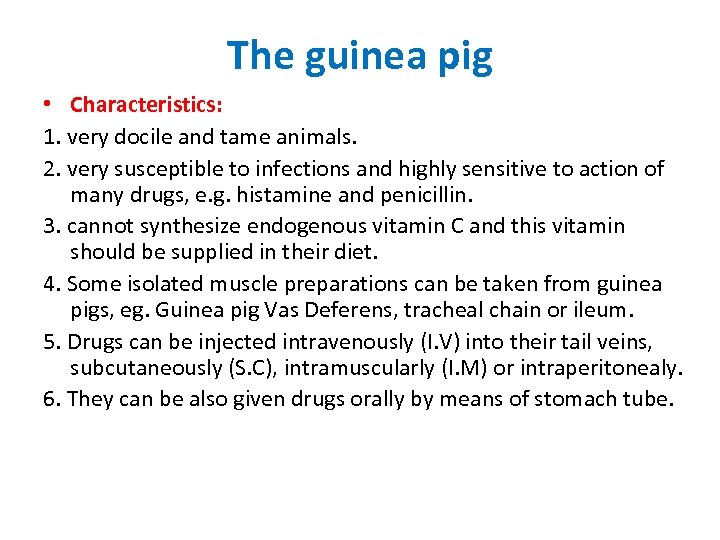 The guinea pig • Characteristics: 1. very docile and tame animals. 2. very susceptible
