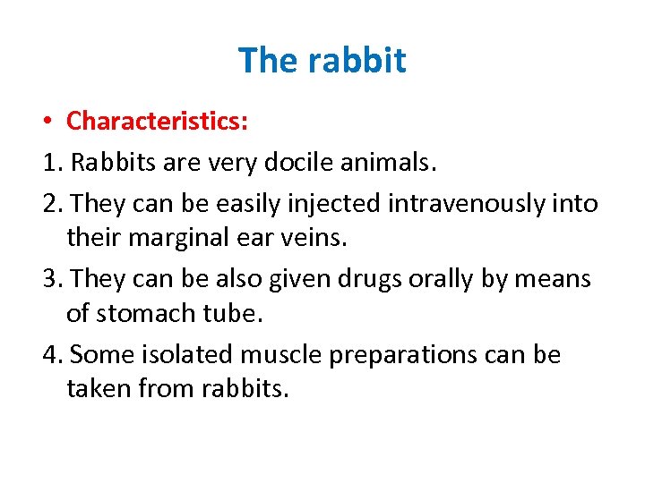 The rabbit • Characteristics: 1. Rabbits are very docile animals. 2. They can be
