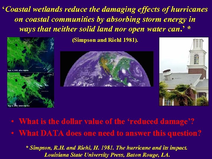 ‘Coastal wetlands reduce the damaging effects of hurricanes on coastal communities by absorbing storm