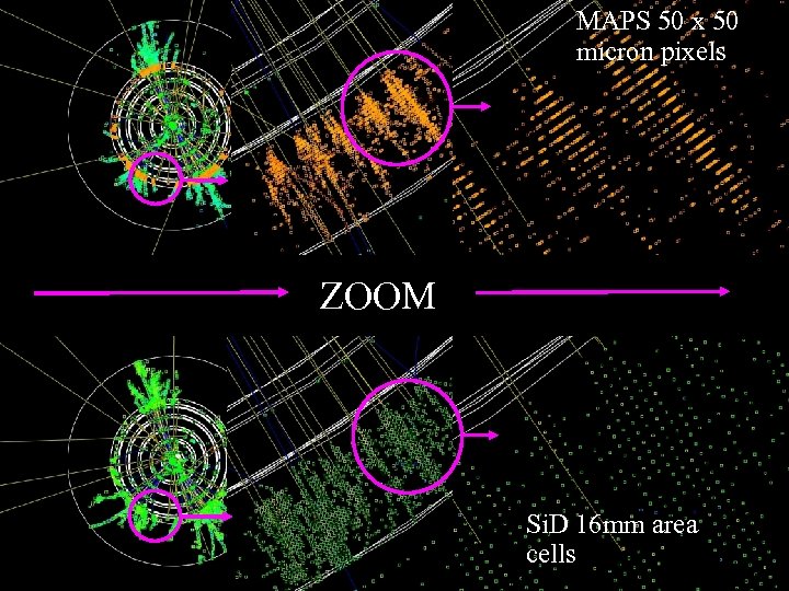 MAPS 50 x 50 micron pixels ZOOM Si. D 16 mm area cells 