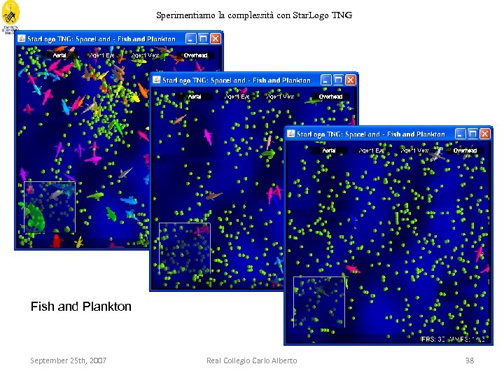 Sperimentiamo la complessità con Star. Logo TNG Fish and Plankton September 25 th, 2007