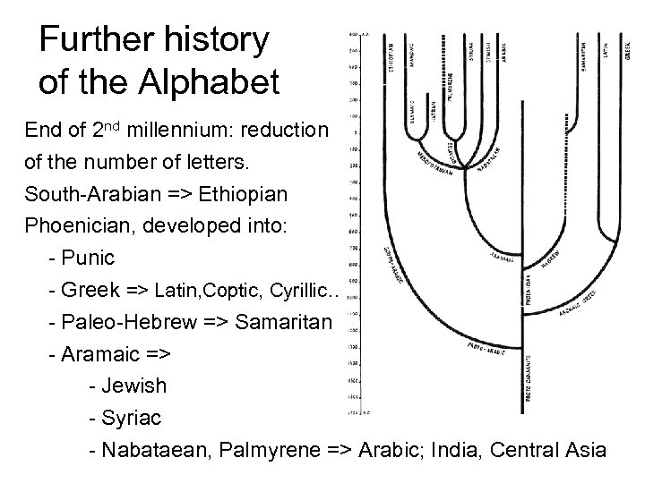 Further history of the Alphabet End of 2 nd millennium: reduction of the number