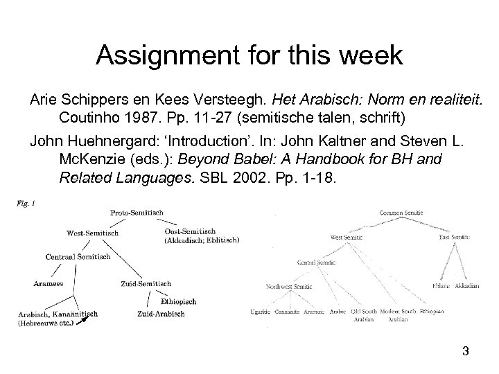 Assignment for this week Arie Schippers en Kees Versteegh. Het Arabisch: Norm en realiteit.