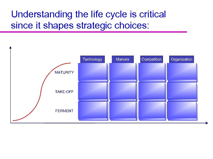 Understanding the life cycle is critical since it shapes strategic choices: 