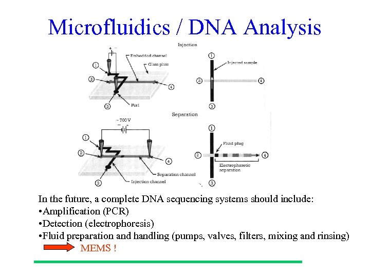 Microfluidics / DNA Analysis In the future, a complete DNA sequencing systems should include: