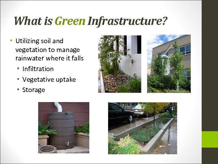 What is Green Infrastructure? • Utilizing soil and vegetation to manage rainwater where it