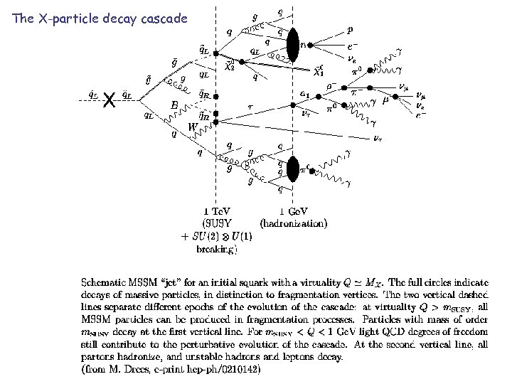 The X-particle decay cascade 