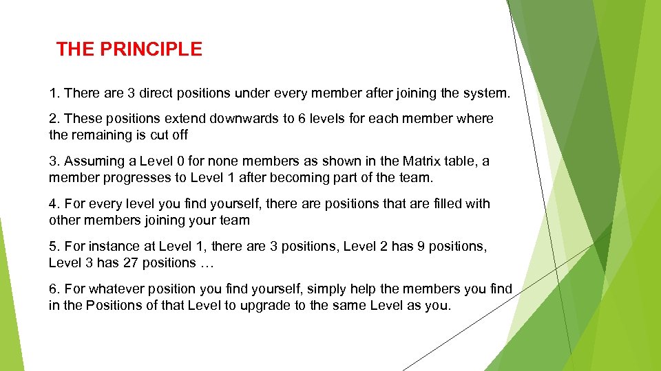 THE PRINCIPLE 1. There are 3 direct positions under every member after joining the