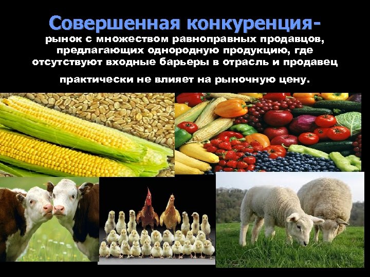 Продукция конкурирует на рынке. Совершенная конкуренция сельское хозяйство. Конкуренция на рынке. Конкуренция в сельском хозяйстве. Совершенная конкуренция рынок со множеством.