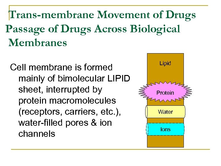 Trans-membrane Movement of Drugs Passage of Drugs Across Biological Membranes Cell membrane is formed