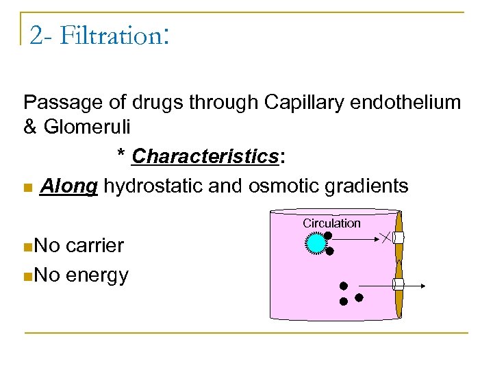 2 - Filtration: Passage of drugs through Capillary endothelium & Glomeruli * Characteristics: n