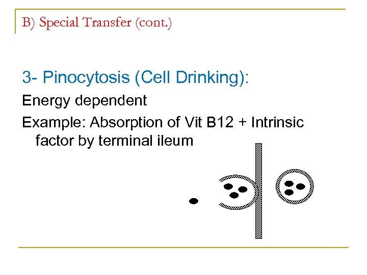 B) Special Transfer (cont. ) 3 Pinocytosis (Cell Drinking): Energy dependent Example: Absorption of