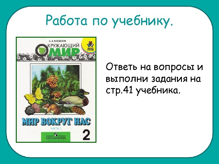 Работа по учебнику. Ответь на вопросы и выполни задания на стр. 41 учебника. 
