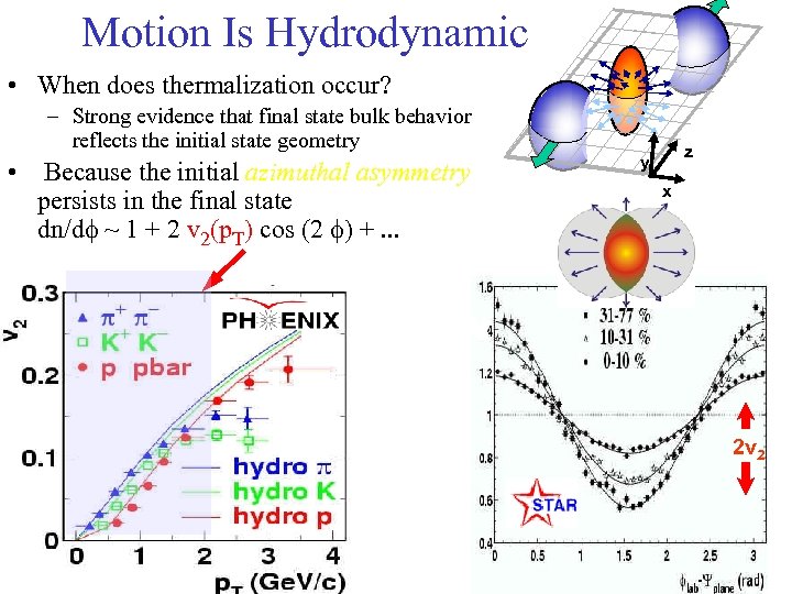 Motion Is Hydrodynamic • When does thermalization occur? – Strong evidence that final state