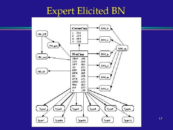 Expert Elicited BN 17 