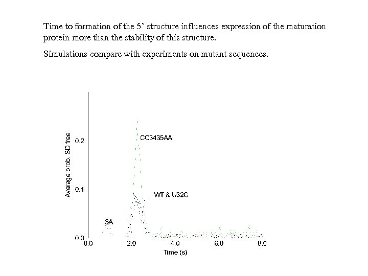 Time to formation of the 5’ structure influences expression of the maturation protein more