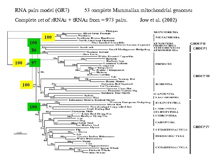 RNA pairs model (GR 7) 53 complete Mammalian mitochondrial genomes Complete set of r.