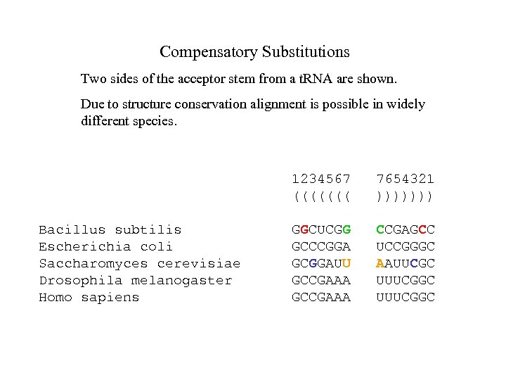 Compensatory Substitutions Two sides of the acceptor stem from a t. RNA are shown.