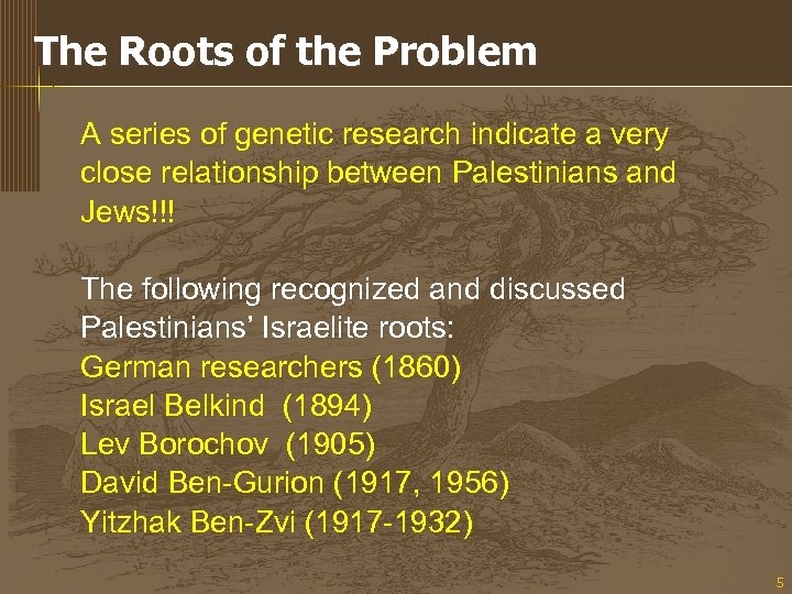 The Roots of the Problem A series of genetic research indicate a very close