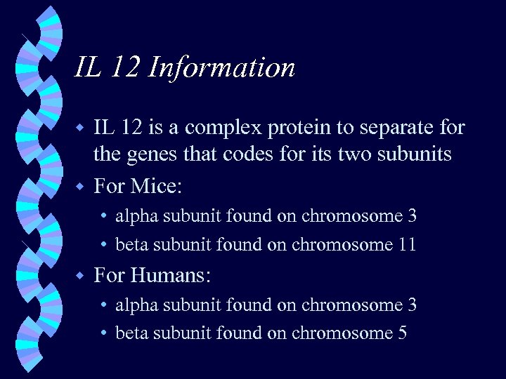 IL 12 Information IL 12 is a complex protein to separate for the genes