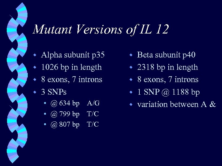 Mutant Versions of IL 12 Alpha subunit p 35 w 1026 bp in length