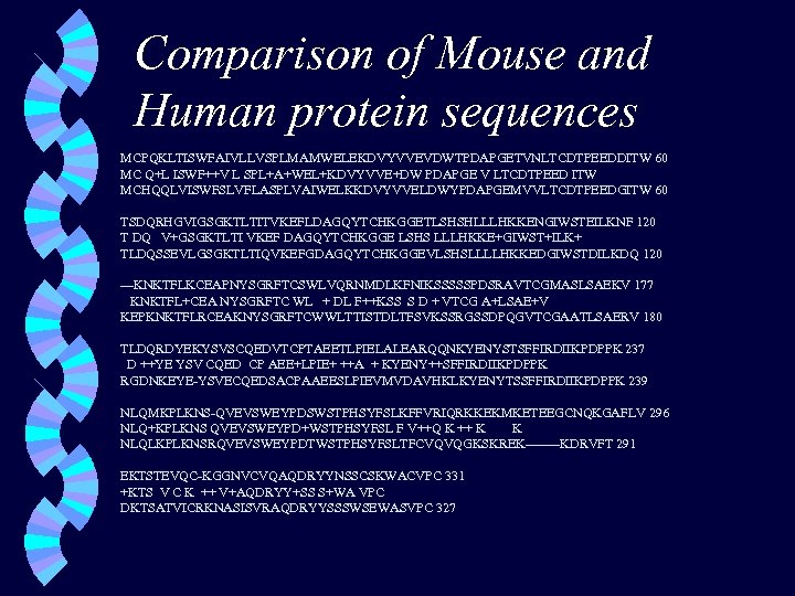 Comparison of Mouse and Human protein sequences MCPQKLTISWFAIVLLVSPLMAMWELEKDVYVVEVDWTPDAPGETVNLTCDTPEEDDITW 60 MC Q+L ISWF++V L SPL+A+WEL+KDVYVVE+DW