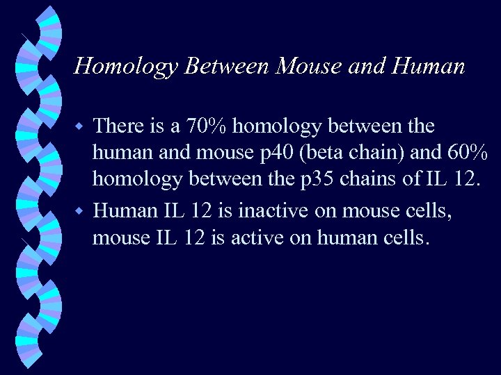 Homology Between Mouse and Human There is a 70% homology between the human and