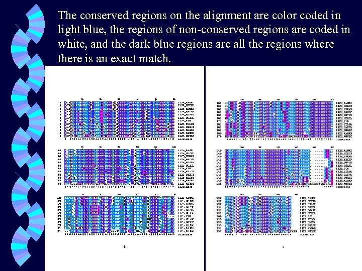 The conserved regions on the alignment are color coded in light blue, the regions