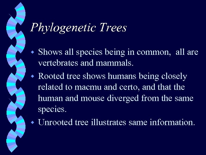 Phylogenetic Trees Shows all species being in common, all are vertebrates and mammals. w