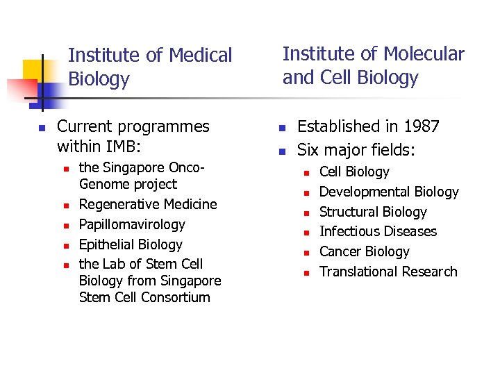 Institute of Medical Biology n Current programmes within IMB: n n n the Singapore