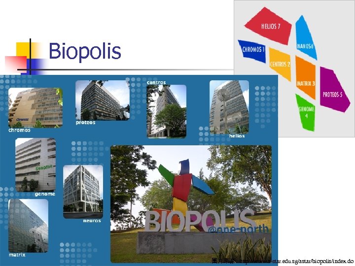 Biopolis 圖片來源 : http: //www. a-star. edu. sg/astar/biopolis/index. do 