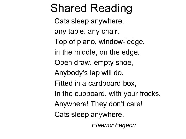 Shared Reading Cats sleep anywhere. any table, any chair. Top of piano, window-ledge, in