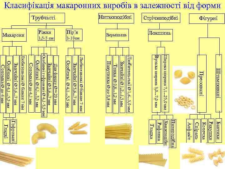 Класифікація макаронних виробів в залежності від форми Локшина 1, 5 -5 см 3 -10