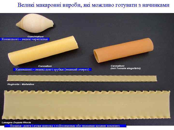 Великі макаронні вироби, які можливо готувати з начинками Конкильоні – великі черепашки Каннеллоні –