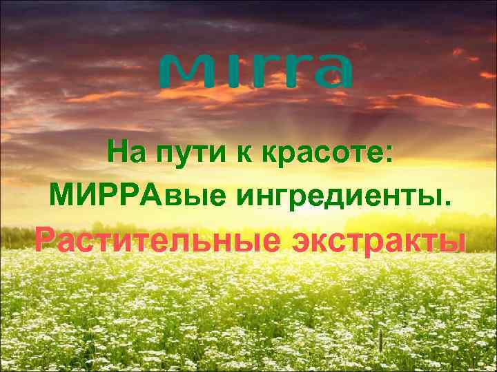 На пути к красоте: МИРРАвые ингредиенты. Растительные экстракты 