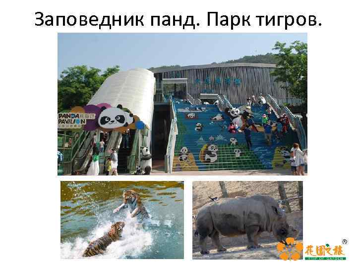 Заповедник панд. Парк тигров. 
