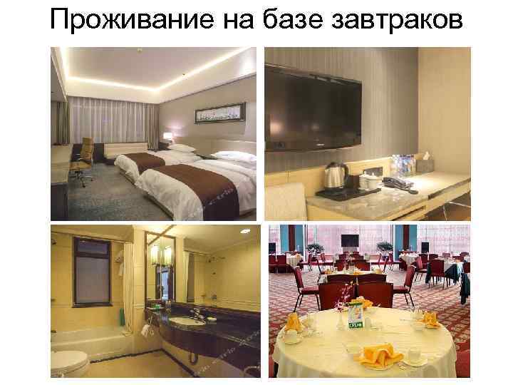 Проживание на базе завтраков 