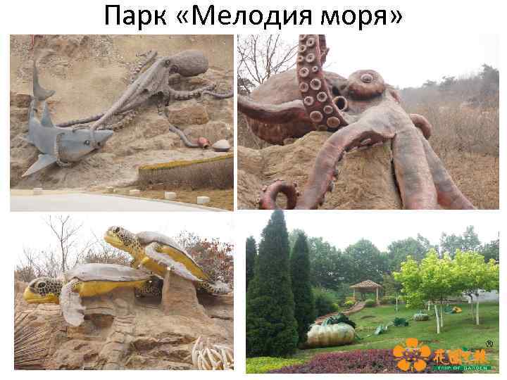 Парк «Мелодия моря» 