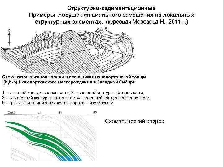 Структурно-седиментационные Примеры ловушек фациального замещения на локальных структурных элементах. (курсовая Морозова Н. , 2011