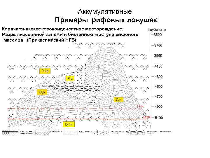 Аккумулятивные Примеры рифовых ловушек Карачаганакское газоконденсатное месторождение. Разрез массивной залежи в биогенном выступе рифового