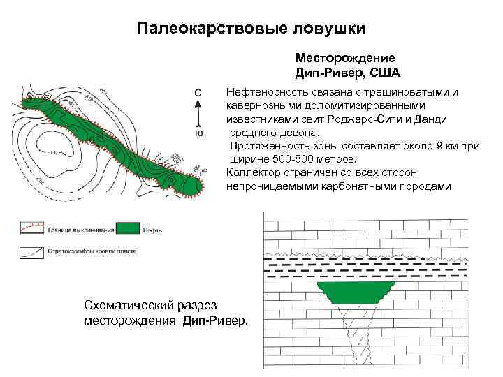 Палеокарствовые ловушки Месторождение Дип-Ривер, США Нефтеносность связана с трещиноватыми и кавернозными доломитизированными известниками свит