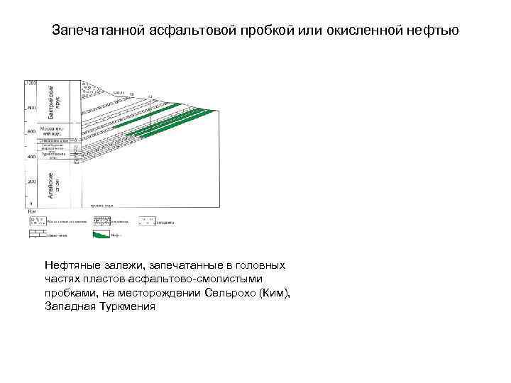 Запечатанной асфальтовой пробкой или окисленной нефтью Нефтяные залежи, запечатанные в головных частях пластов асфальтово-смолистыми