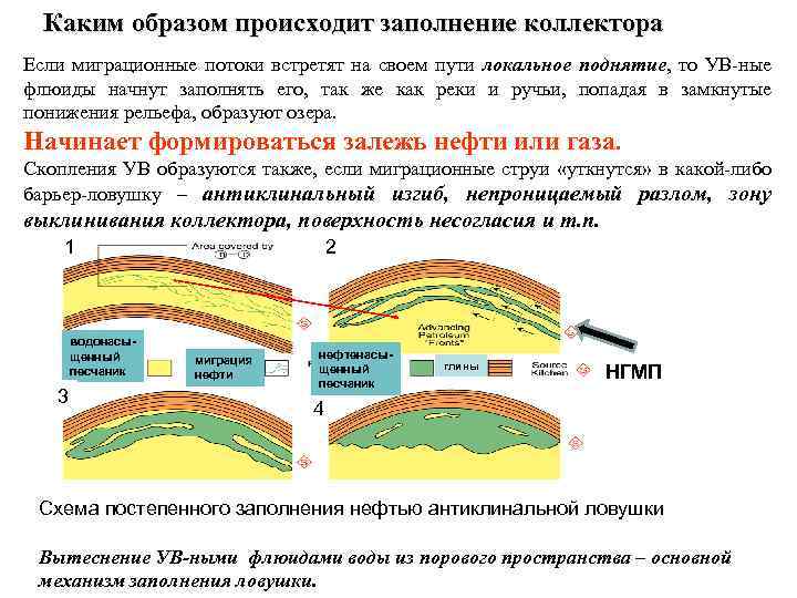 Каким образом происходит заполнение коллектора Если миграционные потоки встретят на своем пути локальное поднятие,