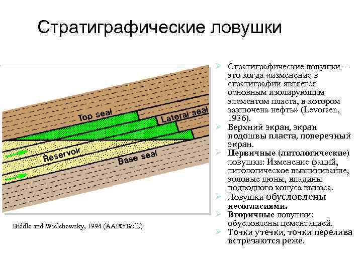 Стратиграфические ловушки Biddle and Wielchowsky, 1994 (AAPG Bull. ) Ø Стратиграфические ловушки – это