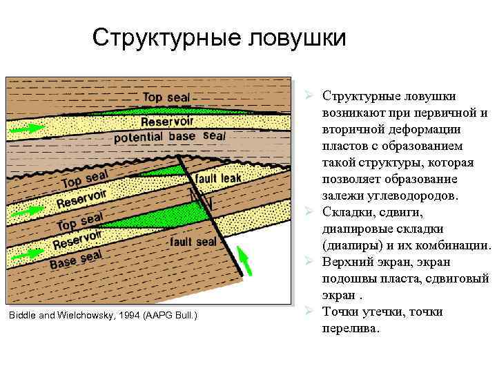 Структурные ловушки Biddle and Wielchowsky, 1994 (AAPG Bull. ) Ø Структурные ловушки возникают при