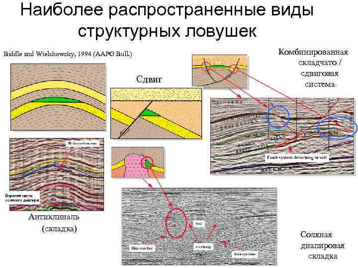 Наиболее распространенные виды структурных ловушек Biddle and Wielchowsky, 1994 (AAPG Bull. ) Сдвиг Комбинированная