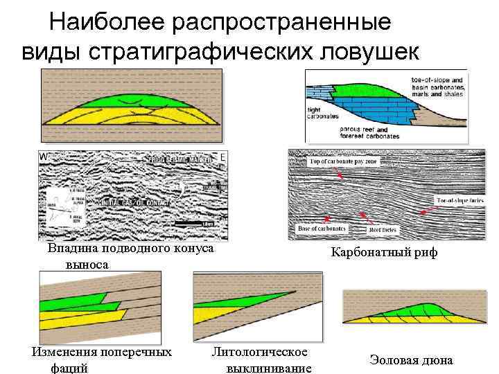 Наиболее распространенные виды стратиграфических ловушек Впадина подводного конуса выноса Изменения поперечных фаций Литологическое выклинивание