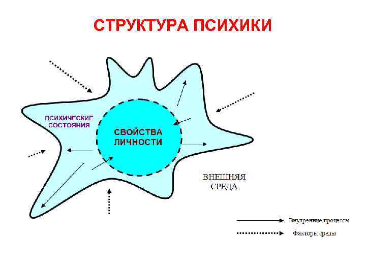 СТРУКТУРА ПСИХИКИ 