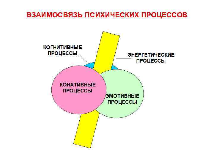 ВЗАИМОСВЯЗЬ ПСИХИЧЕСКИХ ПРОЦЕССОВ 